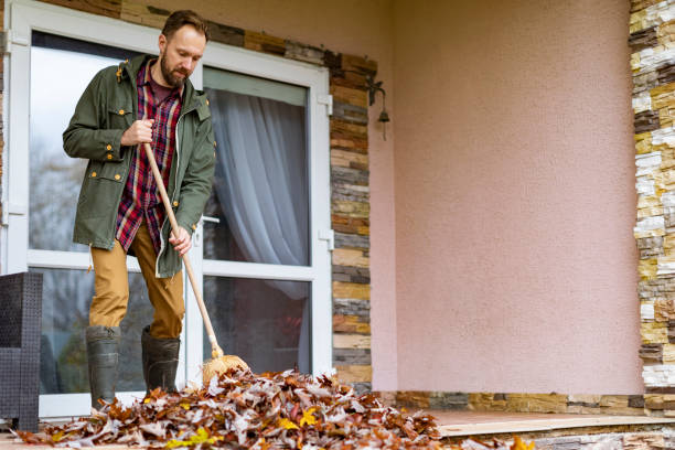 Best Basement Cleanout Services  in Clermont, GA